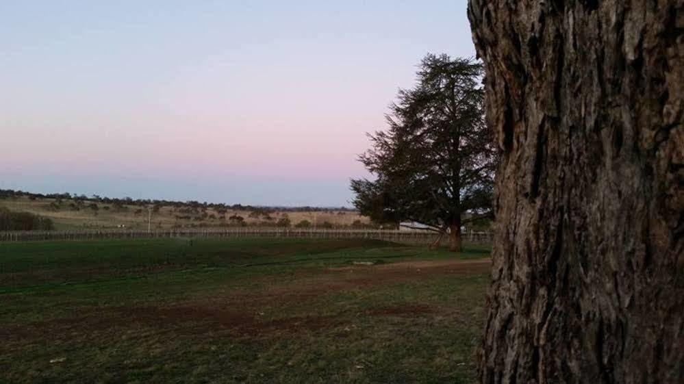Petersons Armidale Winery And Guesthouse Eksteriør bilde
