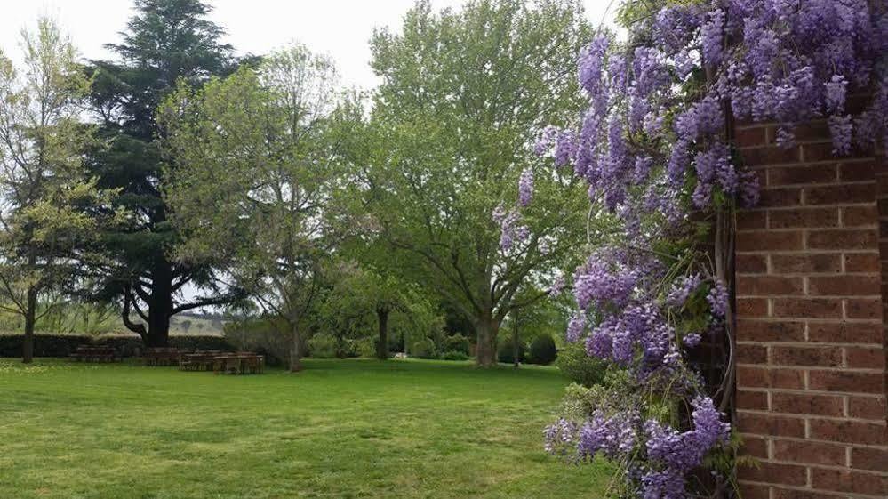 Petersons Armidale Winery And Guesthouse Eksteriør bilde